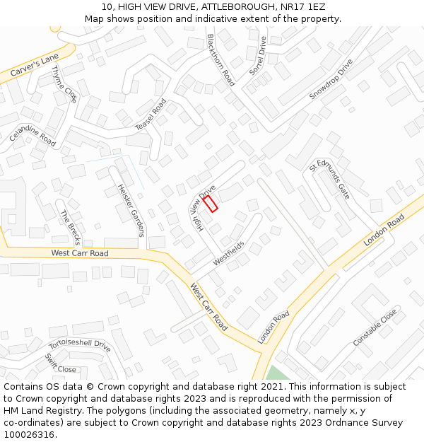 10, HIGH VIEW DRIVE, ATTLEBOROUGH, NR17 1EZ: Location map and indicative extent of plot