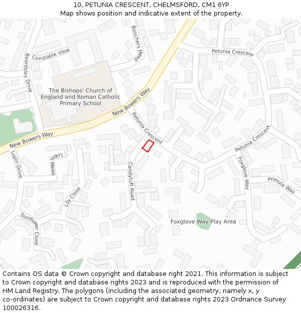 10, PETUNIA CRESCENT, CHELMSFORD, CM1 6YP: Location map and indicative extent of plot