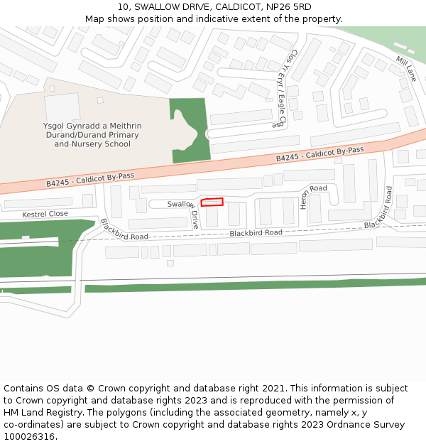 10, SWALLOW DRIVE, CALDICOT, NP26 5RD: Location map and indicative extent of plot