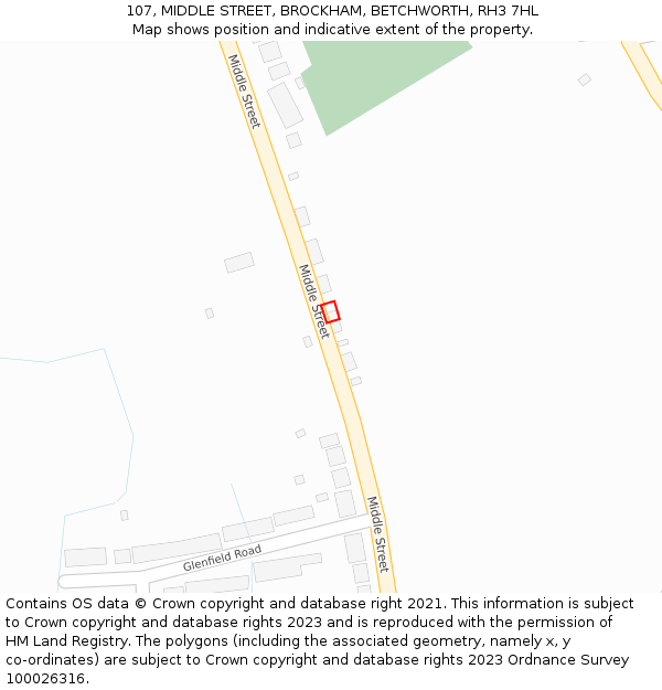 107, MIDDLE STREET, BROCKHAM, BETCHWORTH, RH3 7HL: Location map and indicative extent of plot