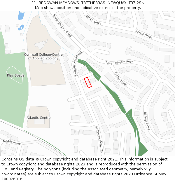11, BEDOWAN MEADOWS, TRETHERRAS, NEWQUAY, TR7 2SN: Location map and indicative extent of plot