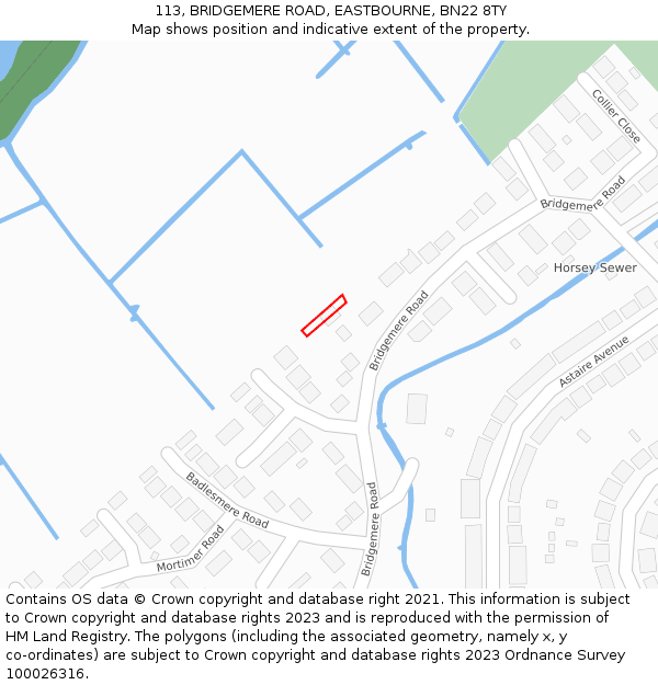 113, BRIDGEMERE ROAD, EASTBOURNE, BN22 8TY: Location map and indicative extent of plot