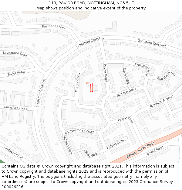 113, PAVIOR ROAD, NOTTINGHAM, NG5 5UE: Location map and indicative extent of plot