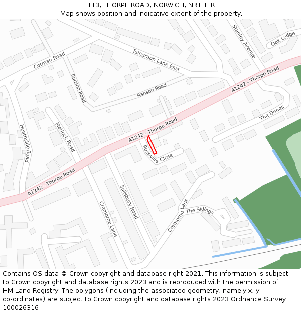 113, THORPE ROAD, NORWICH, NR1 1TR: Location map and indicative extent of plot