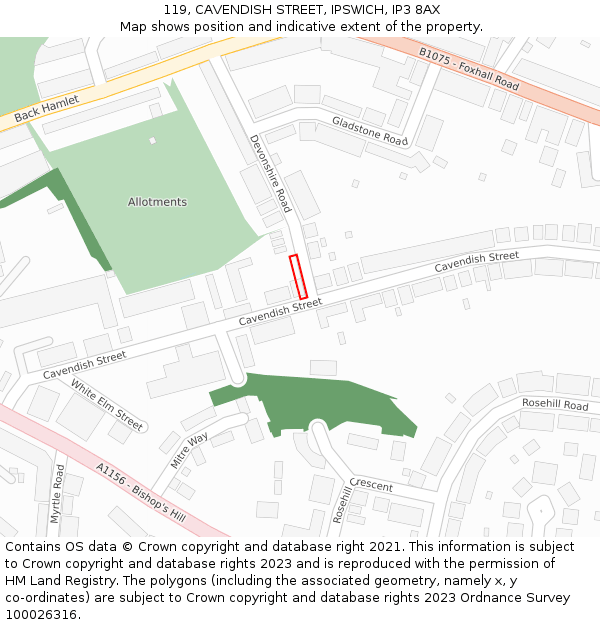119, CAVENDISH STREET, IPSWICH, IP3 8AX: Location map and indicative extent of plot