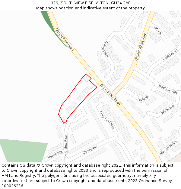 119, SOUTHVIEW RISE, ALTON, GU34 2AR: Location map and indicative extent of plot