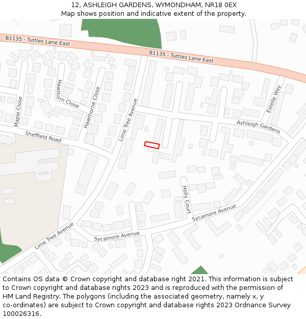 12, ASHLEIGH GARDENS, WYMONDHAM, NR18 0EX: Location map and indicative extent of plot