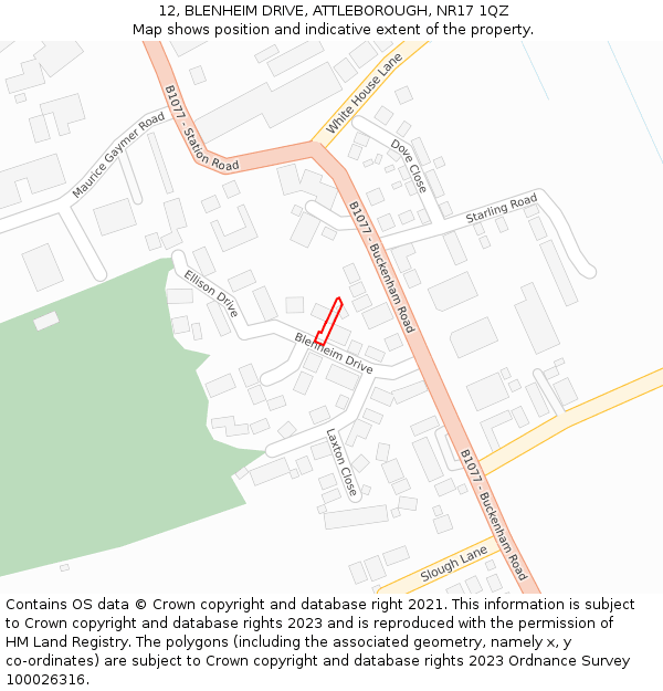 12, BLENHEIM DRIVE, ATTLEBOROUGH, NR17 1QZ: Location map and indicative extent of plot