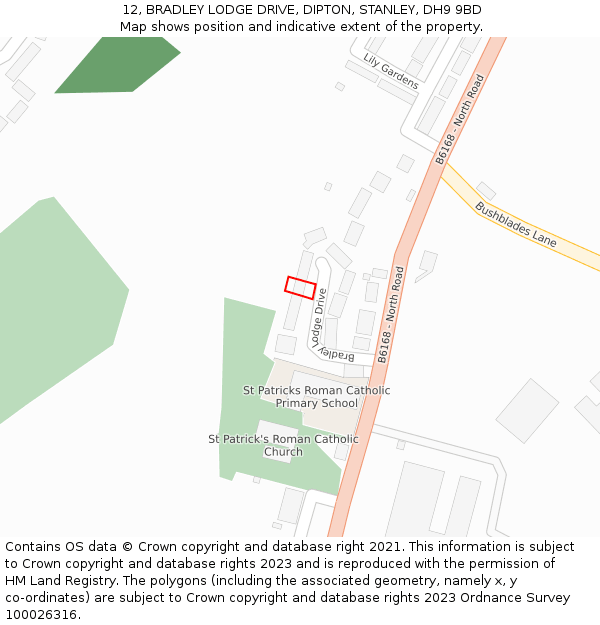 12, BRADLEY LODGE DRIVE, DIPTON, STANLEY, DH9 9BD: Location map and indicative extent of plot