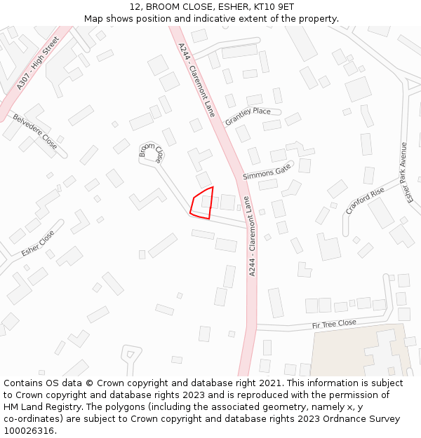 12, BROOM CLOSE, ESHER, KT10 9ET: Location map and indicative extent of plot