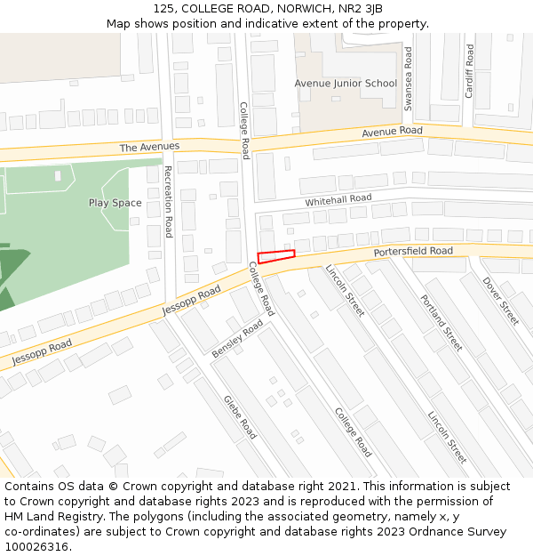 125, COLLEGE ROAD, NORWICH, NR2 3JB: Location map and indicative extent of plot
