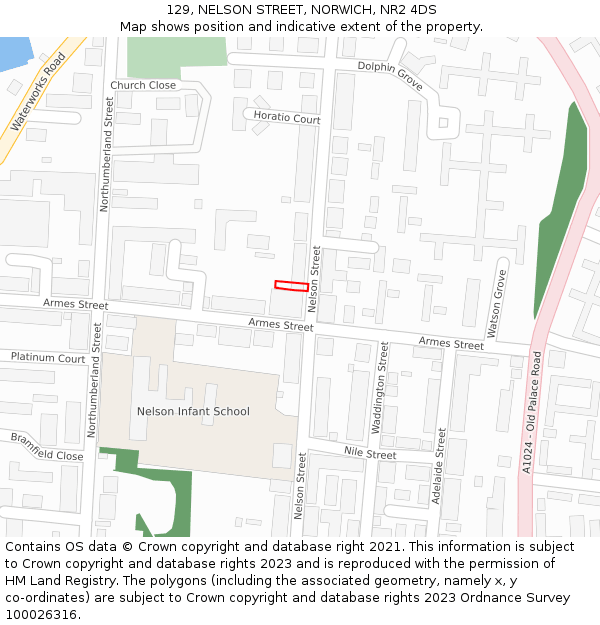129, NELSON STREET, NORWICH, NR2 4DS: Location map and indicative extent of plot