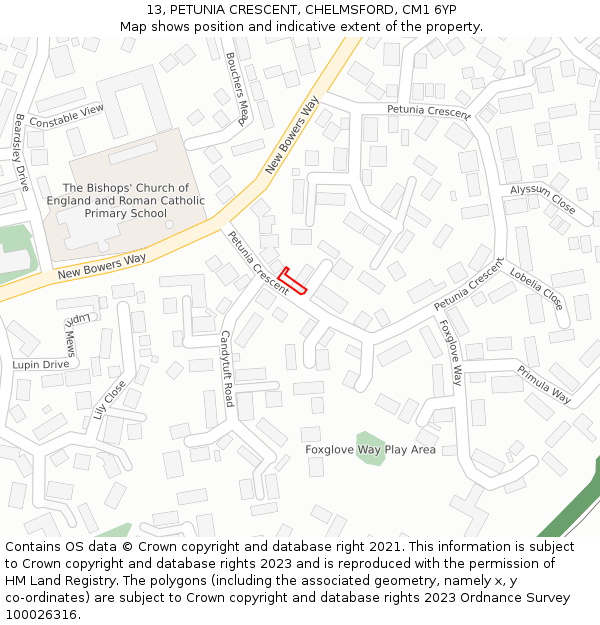 13, PETUNIA CRESCENT, CHELMSFORD, CM1 6YP: Location map and indicative extent of plot