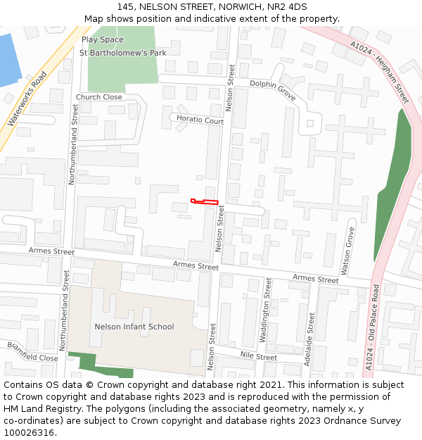 145, NELSON STREET, NORWICH, NR2 4DS: Location map and indicative extent of plot