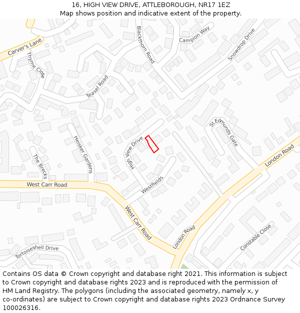 16, HIGH VIEW DRIVE, ATTLEBOROUGH, NR17 1EZ: Location map and indicative extent of plot