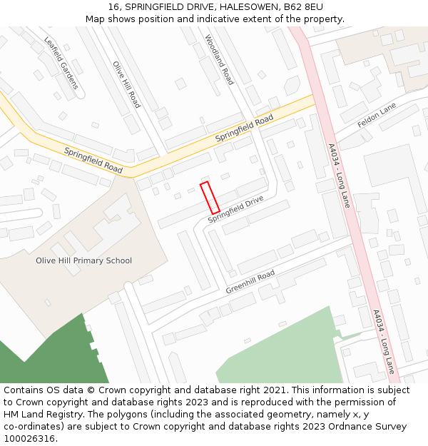 16, SPRINGFIELD DRIVE, HALESOWEN, B62 8EU: Location map and indicative extent of plot