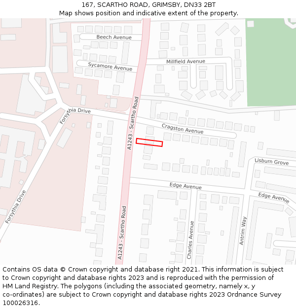 167, SCARTHO ROAD, GRIMSBY, DN33 2BT: Location map and indicative extent of plot
