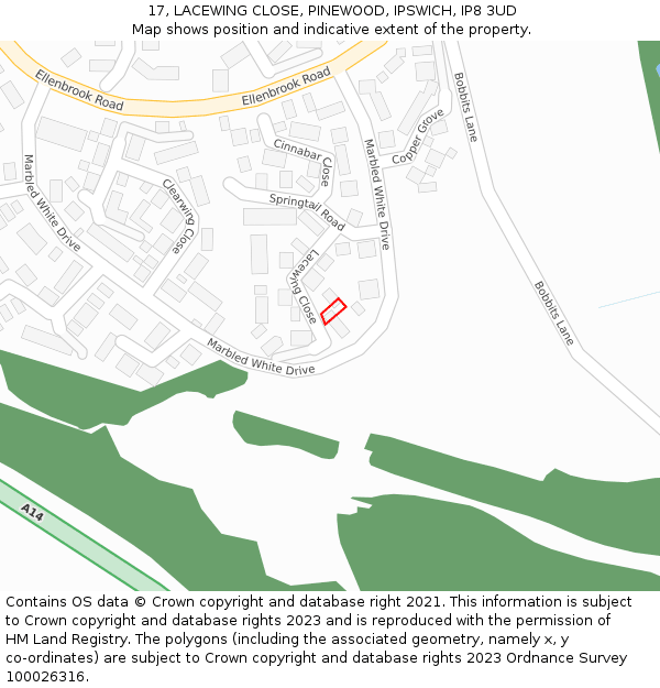 17, LACEWING CLOSE, PINEWOOD, IPSWICH, IP8 3UD: Location map and indicative extent of plot