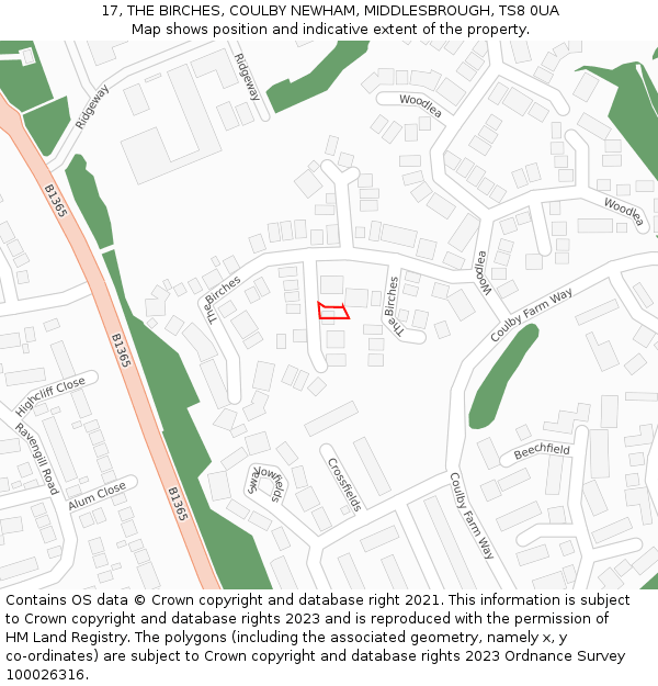 17, THE BIRCHES, COULBY NEWHAM, MIDDLESBROUGH, TS8 0UA: Location map and indicative extent of plot