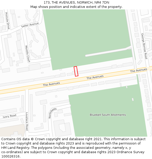 173, THE AVENUES, NORWICH, NR4 7DN: Location map and indicative extent of plot