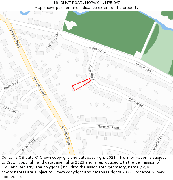 18, OLIVE ROAD, NORWICH, NR5 0AT: Location map and indicative extent of plot