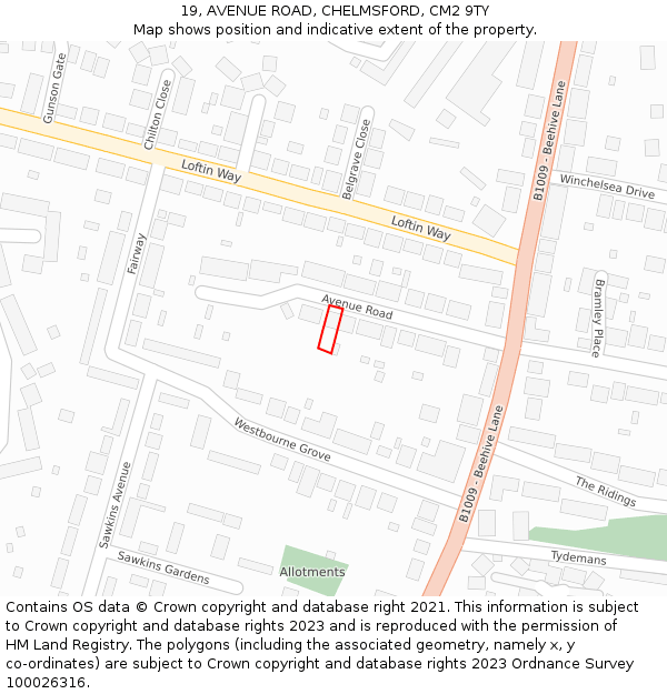 19, AVENUE ROAD, CHELMSFORD, CM2 9TY: Location map and indicative extent of plot