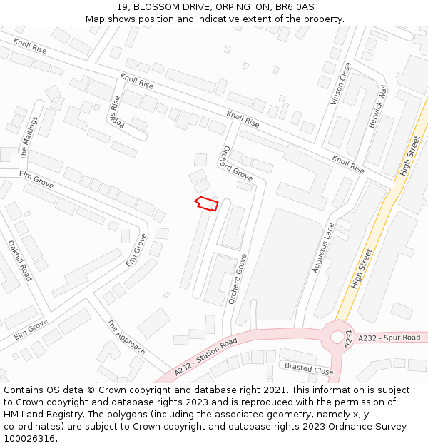 19, BLOSSOM DRIVE, ORPINGTON, BR6 0AS: Location map and indicative extent of plot