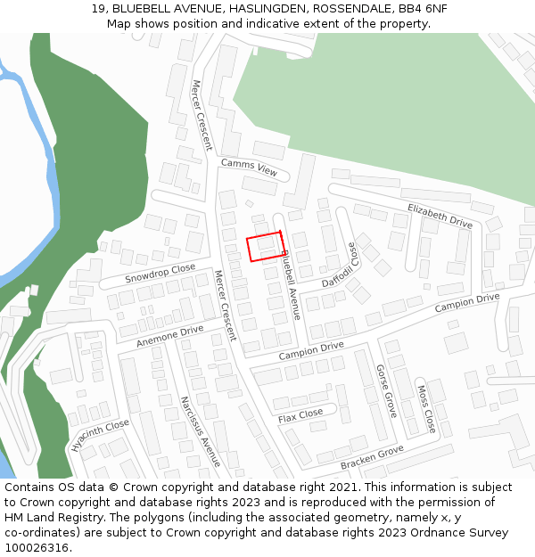 19, BLUEBELL AVENUE, HASLINGDEN, ROSSENDALE, BB4 6NF: Location map and indicative extent of plot