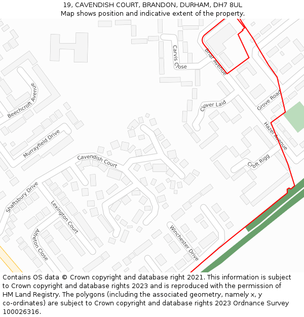 19, CAVENDISH COURT, BRANDON, DURHAM, DH7 8UL: Location map and indicative extent of plot
