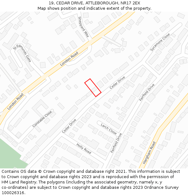 19, CEDAR DRIVE, ATTLEBOROUGH, NR17 2EX: Location map and indicative extent of plot