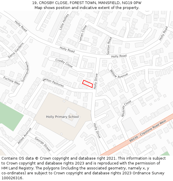 19, CROSBY CLOSE, FOREST TOWN, MANSFIELD, NG19 0PW: Location map and indicative extent of plot
