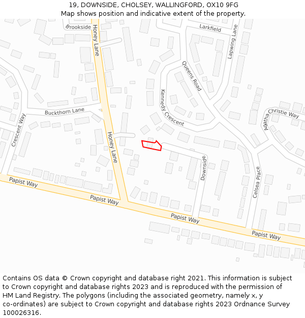19, DOWNSIDE, CHOLSEY, WALLINGFORD, OX10 9FG: Location map and indicative extent of plot