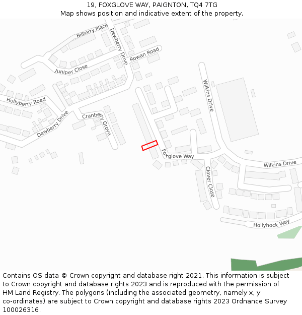 19, FOXGLOVE WAY, PAIGNTON, TQ4 7TG: Location map and indicative extent of plot