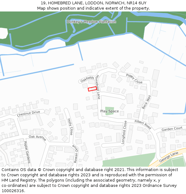 19, HOMEBRED LANE, LODDON, NORWICH, NR14 6UY: Location map and indicative extent of plot