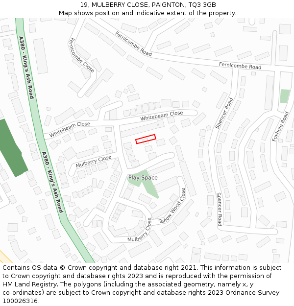 19, MULBERRY CLOSE, PAIGNTON, TQ3 3GB: Location map and indicative extent of plot