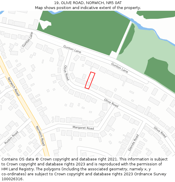 19, OLIVE ROAD, NORWICH, NR5 0AT: Location map and indicative extent of plot