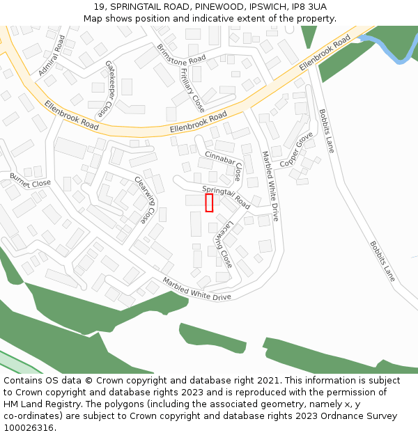 19, SPRINGTAIL ROAD, PINEWOOD, IPSWICH, IP8 3UA: Location map and indicative extent of plot
