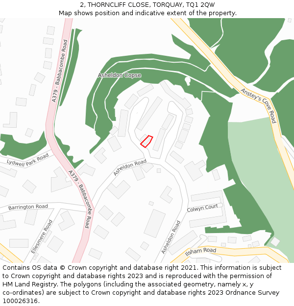 2, THORNCLIFF CLOSE, TORQUAY, TQ1 2QW: Location map and indicative extent of plot
