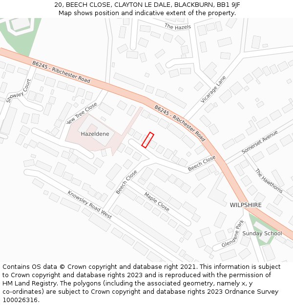 20, BEECH CLOSE, CLAYTON LE DALE, BLACKBURN, BB1 9JF: Location map and indicative extent of plot