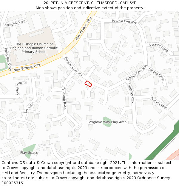 20, PETUNIA CRESCENT, CHELMSFORD, CM1 6YP: Location map and indicative extent of plot