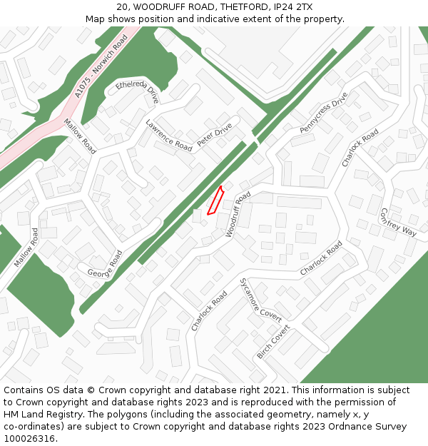 20, WOODRUFF ROAD, THETFORD, IP24 2TX: Location map and indicative extent of plot