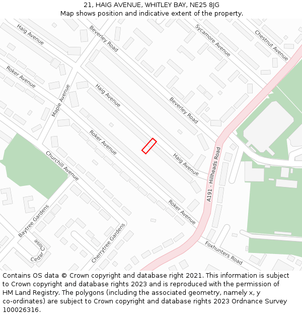 21, HAIG AVENUE, WHITLEY BAY, NE25 8JG: Location map and indicative extent of plot