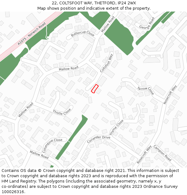 22, COLTSFOOT WAY, THETFORD, IP24 2WX: Location map and indicative extent of plot