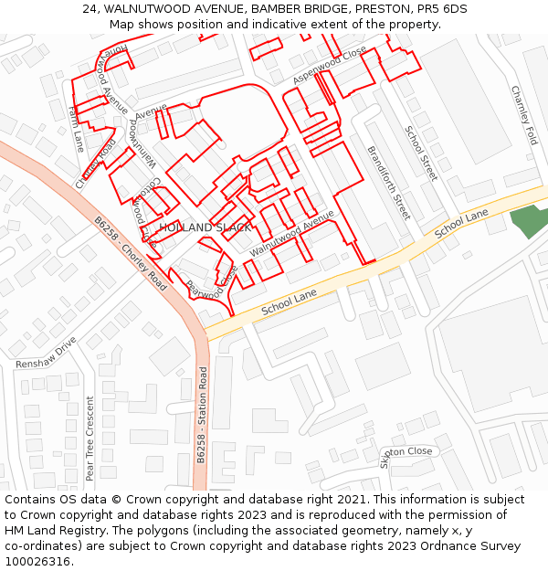 24, WALNUTWOOD AVENUE, BAMBER BRIDGE, PRESTON, PR5 6DS: Location map and indicative extent of plot