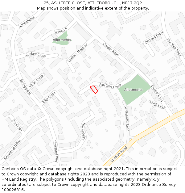 25, ASH TREE CLOSE, ATTLEBOROUGH, NR17 2QP: Location map and indicative extent of plot