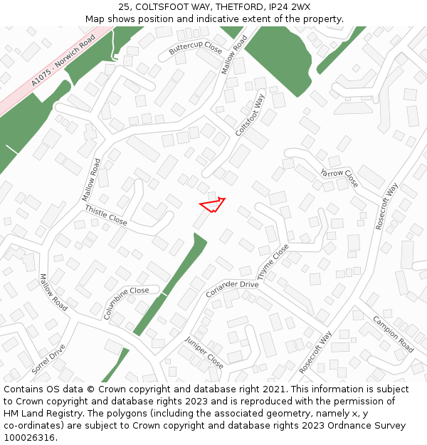 25, COLTSFOOT WAY, THETFORD, IP24 2WX: Location map and indicative extent of plot
