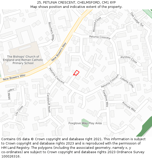 25, PETUNIA CRESCENT, CHELMSFORD, CM1 6YP: Location map and indicative extent of plot