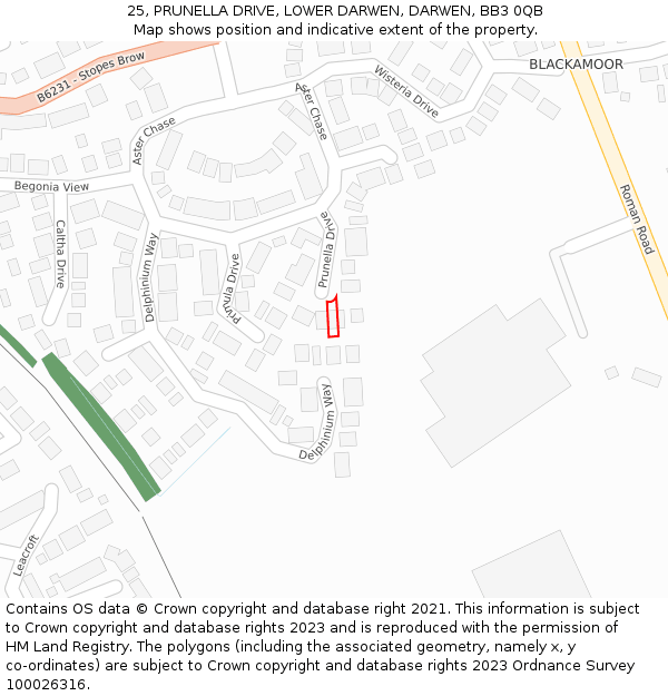 25, PRUNELLA DRIVE, LOWER DARWEN, DARWEN, BB3 0QB: Location map and indicative extent of plot