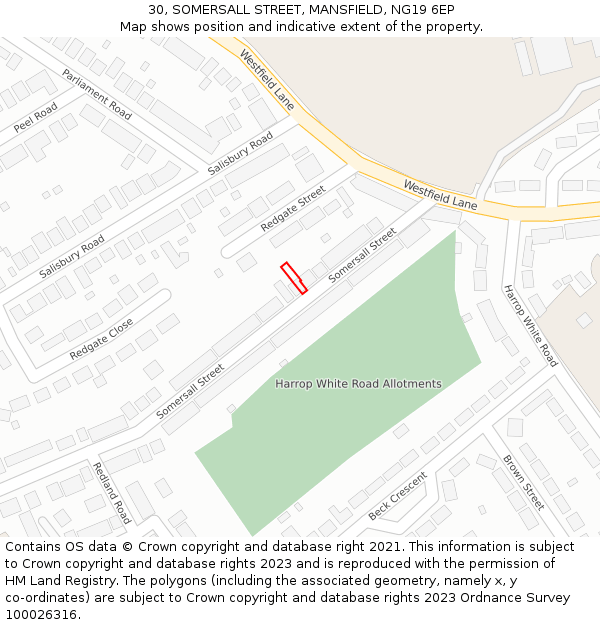 30, SOMERSALL STREET, MANSFIELD, NG19 6EP: Location map and indicative extent of plot