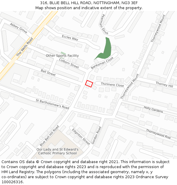 316, BLUE BELL HILL ROAD, NOTTINGHAM, NG3 3EF: Location map and indicative extent of plot